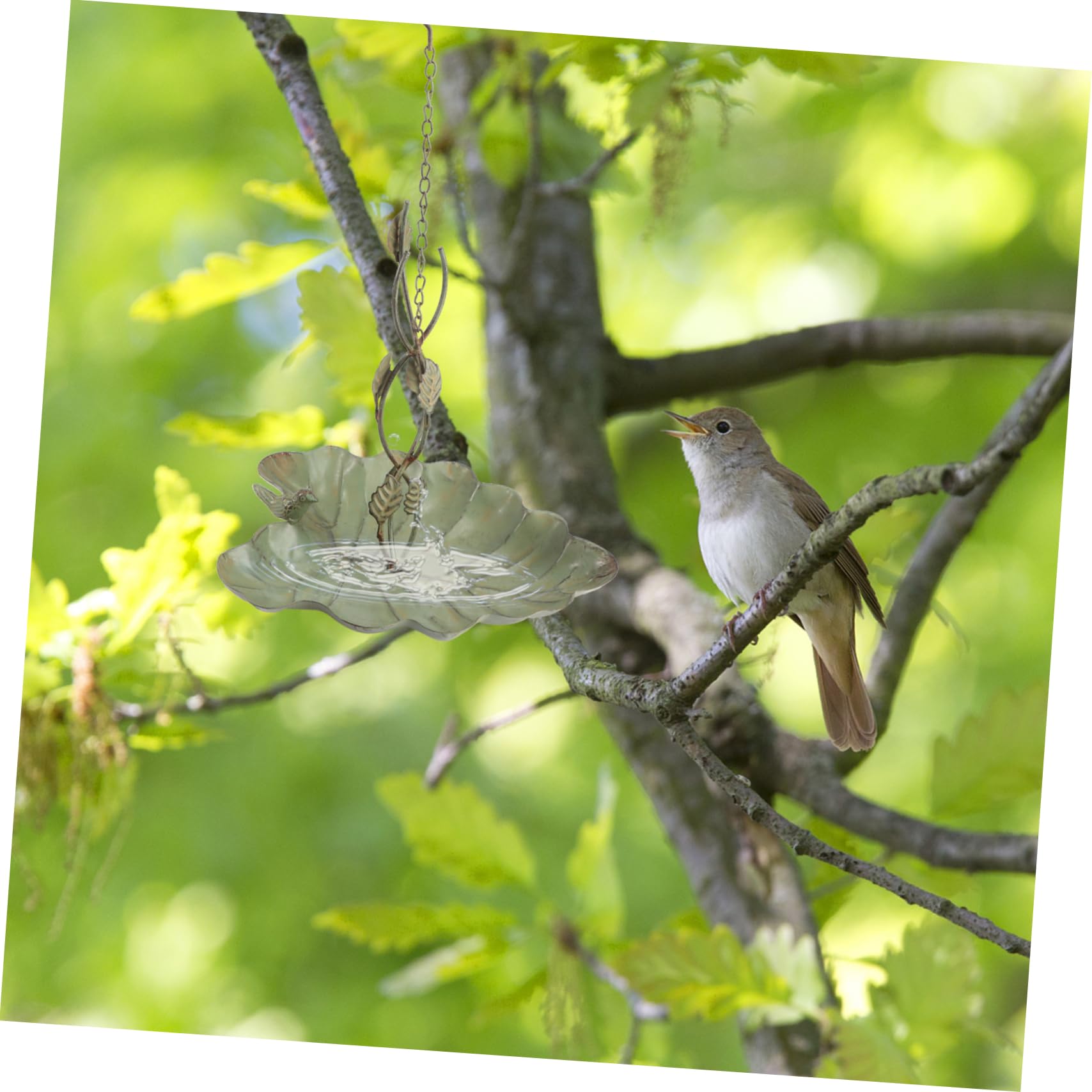 1 Stück Retro Vogelfutterspender Blattform Hängedekoration für Garten Umweltfreundliches Eisenmaterial für Kanarienvögel Papageien und Großer Füllraum für Futter Einfache