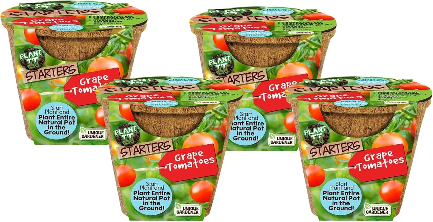 Unique Gardener Plant-It Starters Plant Seeds 4-Pack, DIY Indoor Succulents and Live Plants for Home or Garden Planting, Grape Tomato