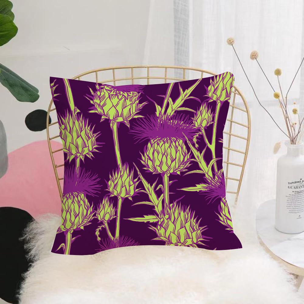 HYMSXW Cushion Cover,Throw Pillow Case Home Decorative for Living Room Bedroom Sofa Chair 20X20 Inch,with onopordum acanthium. Scottish thistle.,Pillowcase 50X50cm