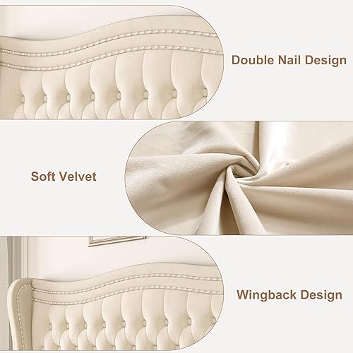 Miniatura 5 de Generic Base de cama Queen con cabecera tapizada de 52 pulgadas con cabecera alta y plataforma capitoné tapizada en terciopelo con botones