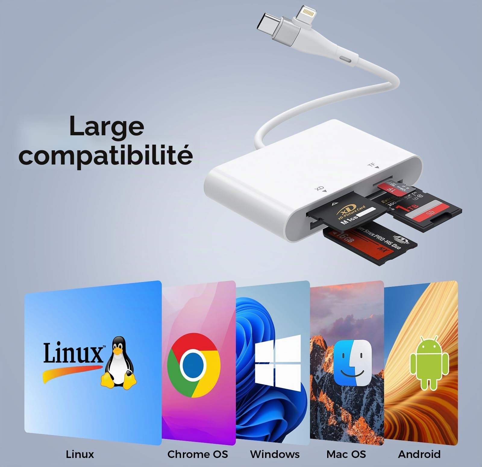 Adaptateur Memory Stick Pro Duo USB C/Lightning, Lecteur de cartes 4 en 2 SD/MicroSD/MS/xD pour carte SD Sony Cybershot, Lecteur Memory Stick Pro Duo pour iPhone 17/16/14/Macbook/iPad/PC/Ordinateur