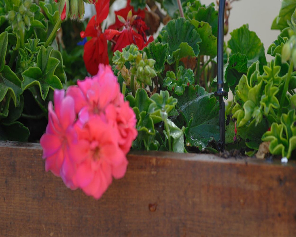 Palram ELGO Planters Drip Kit - 24 Dripper Set