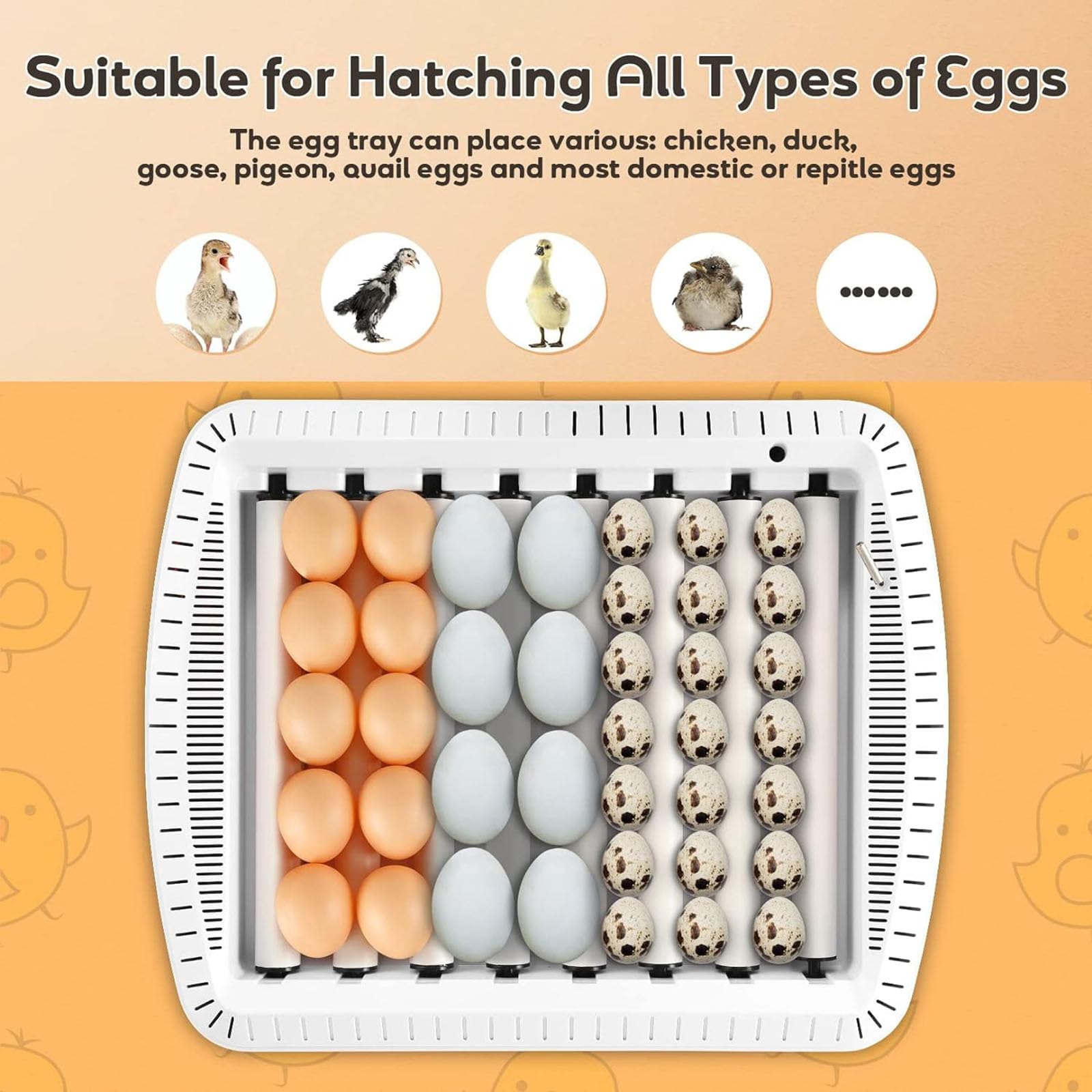 Incubadora automática de huevos para 35 huevos con control de temperatura y humedad, función de giro de huevos para incubar pollos, patos, gansos, codornices