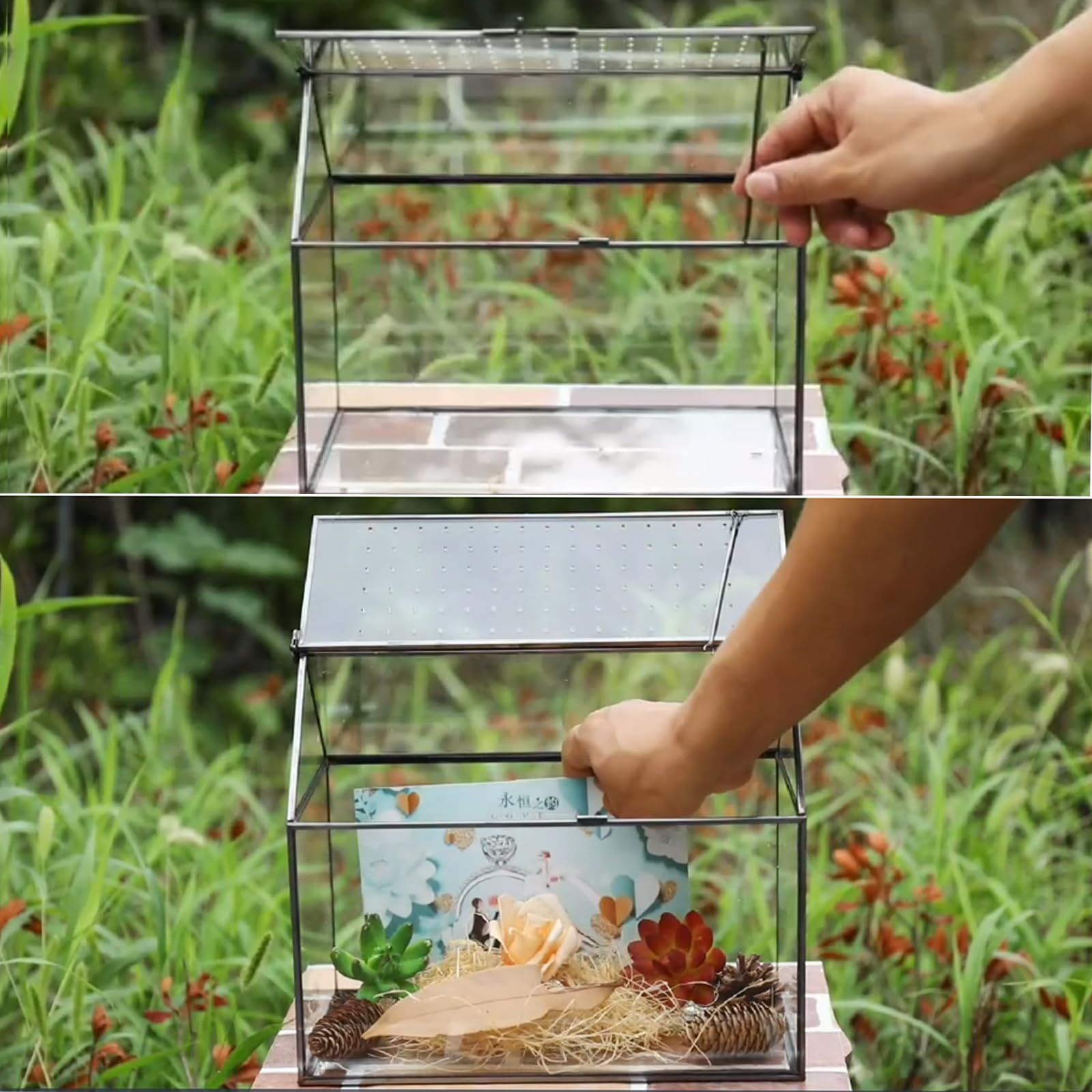 HighFree Terrarios hechos a mano con forma de casa de cristal grande de 10.3 pulgadas, contenedor de mesa con cierre de tapa abatible para helecho de musgo de plantas suculentas
