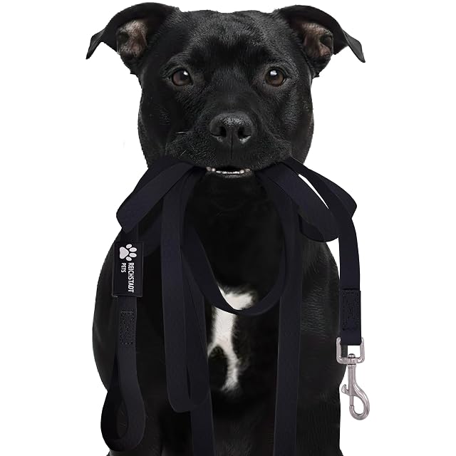 Reichstadt Pets Correa PVC Perros Repelente Agua Black 5m