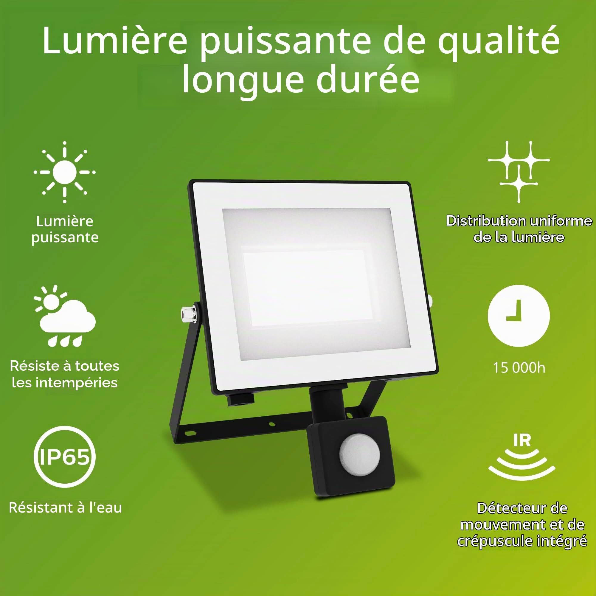 Philips Lois Projecteur Extérieur avec Capteur, 30 W, 5000 K, Noir (Lot de 2)