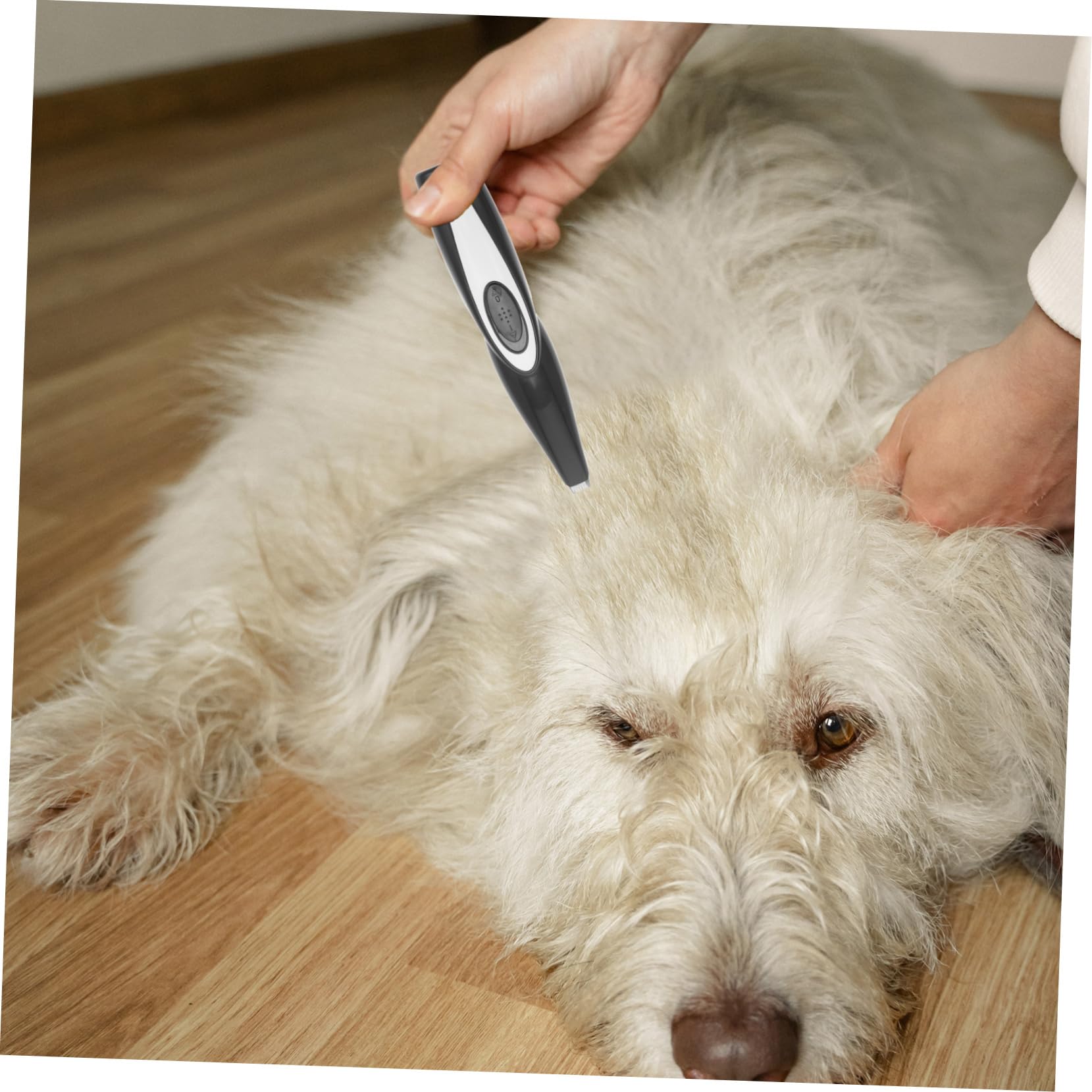 BESPORTBLE 5piezas Cortadora Eléctrica Usb Para Mascotas Recargable Para Cara Patas y Orejas De Perros y Gatos y Práctica Azul y Negro