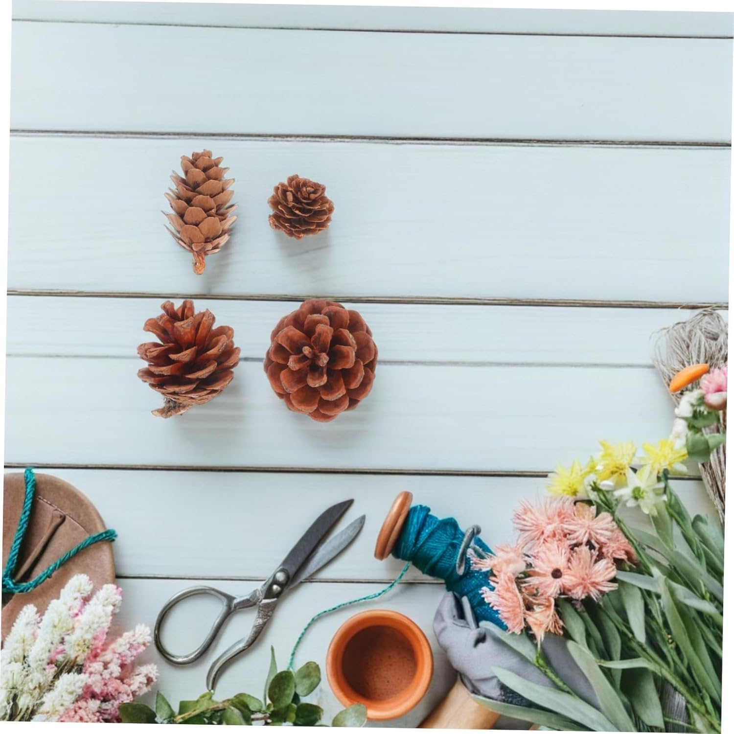 Angoily 150Pcs Natural Pine Cones Acorns for DIY Crafts Pine Decorative Props Vase Fillers Sustainable Autumn Decoration for Holiday Decor and Creative Projects