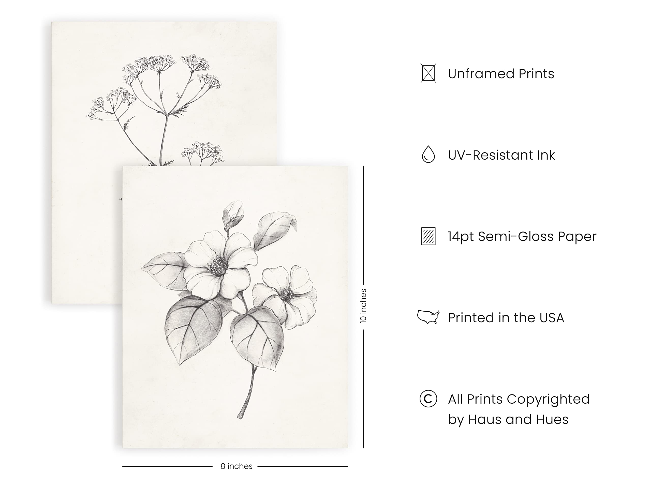 HAUS AND HUES Grey Floral Wall Art - Set of 4 Plant Posters for Wall Vintage, Botanical Prints, Black and White Wall Art Flower Pictures for Room Aesthetic, Farmhouse Bathroom Art (8x10, Unframed)