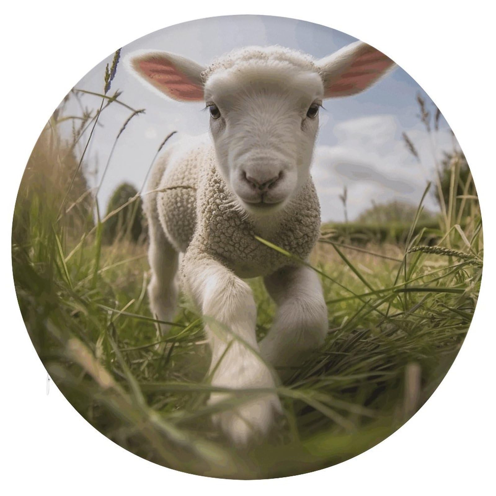 Adfgyerh Style Sheep Running On Grass Cushion Memory Foam Pillow Core，Seat Cushion Detachable Design，Chair Cushions Suitable For All Seasons, And Can Be Used In Offices, Dining Rooms, Homes, And Other Settings.