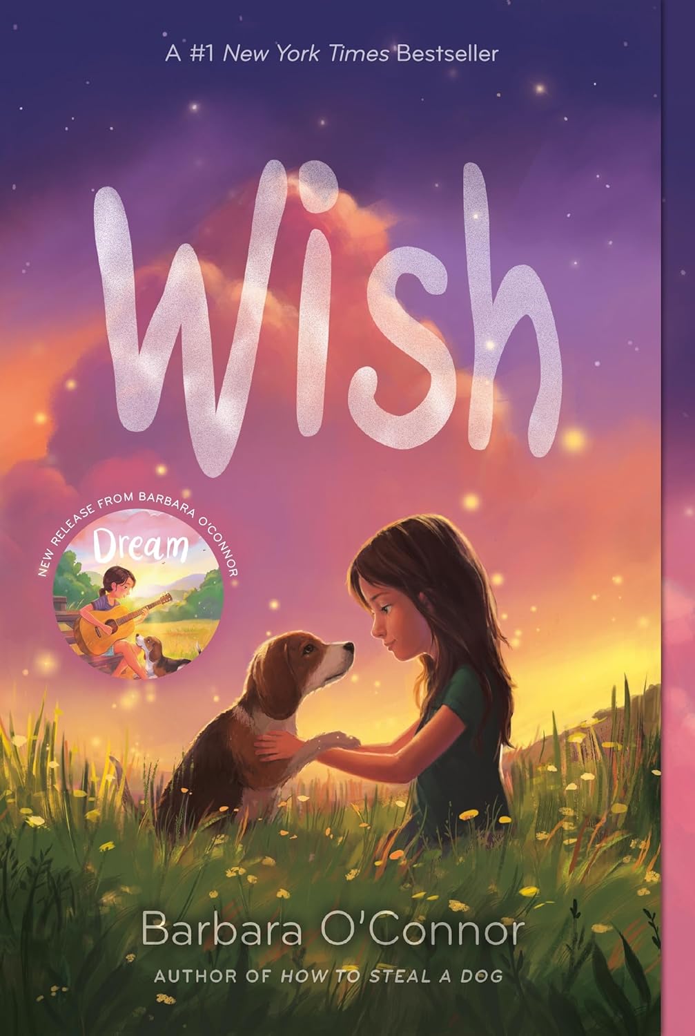 Wish by Barbara O'Connor: #1 NYT Bestselling Middle-Grade Novel on Family, Friendship & a Stray Dog Adventure