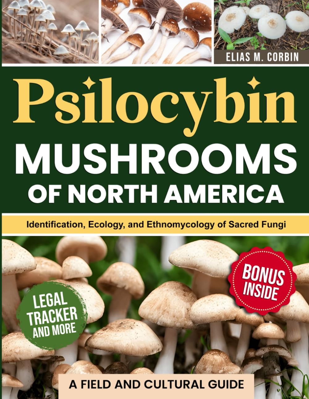 Psilocybin Mushrooms of North America: Identification, Ecology, and Ethnomycology of Sacred Fungi