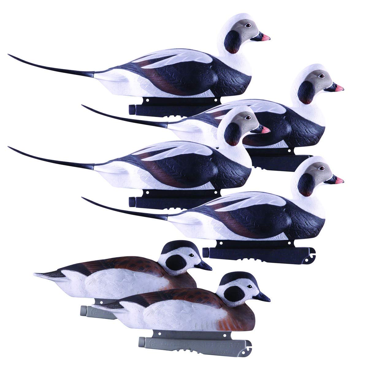 Avery Hunting Gear PG Long-Tailed Ducks (1/2 Dozen)