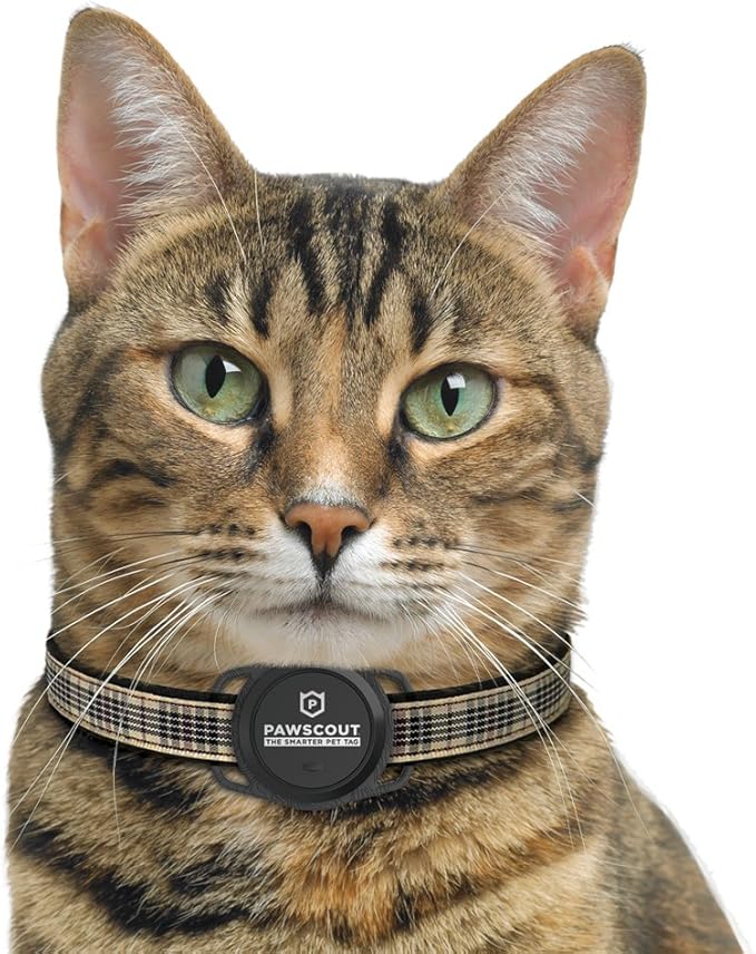 smart cat collar