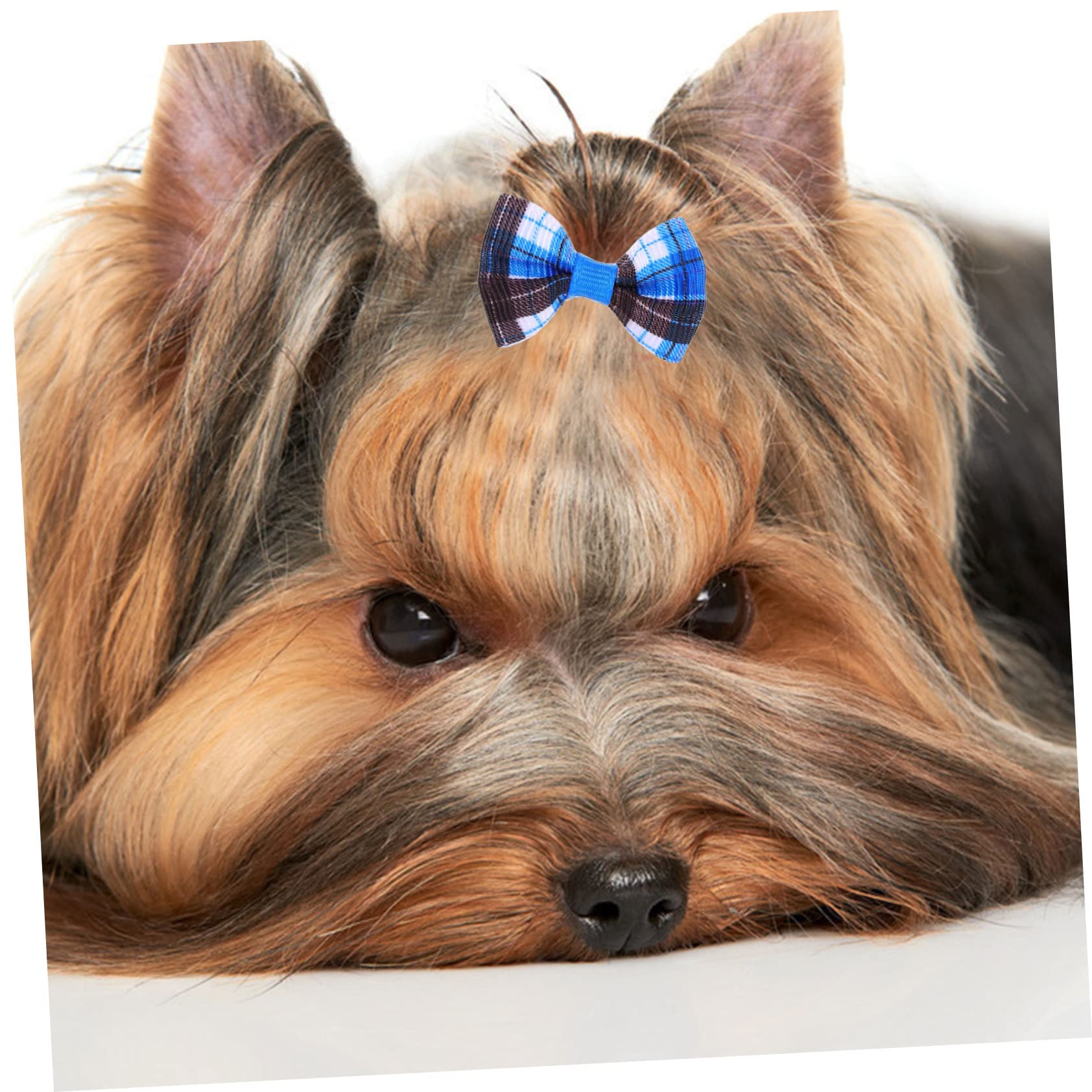 Mipcase 300 Piezas Flor De Cabeza De Mascota Perro Arcos Chica Cuidados del Perro Accesorios para Disfraces De Perros Pequeños Lazos para El Pelo De Perro Paño Pequeño Arco Elástico
