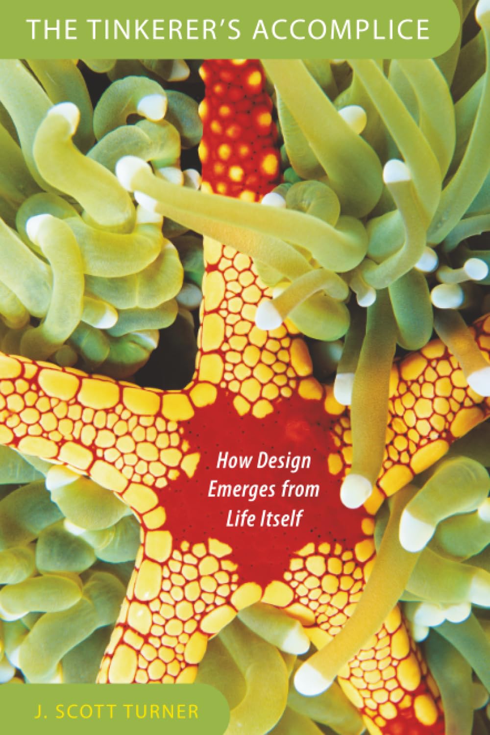The Tinkerer's Accomplice: How Design Emerges from Life Itself