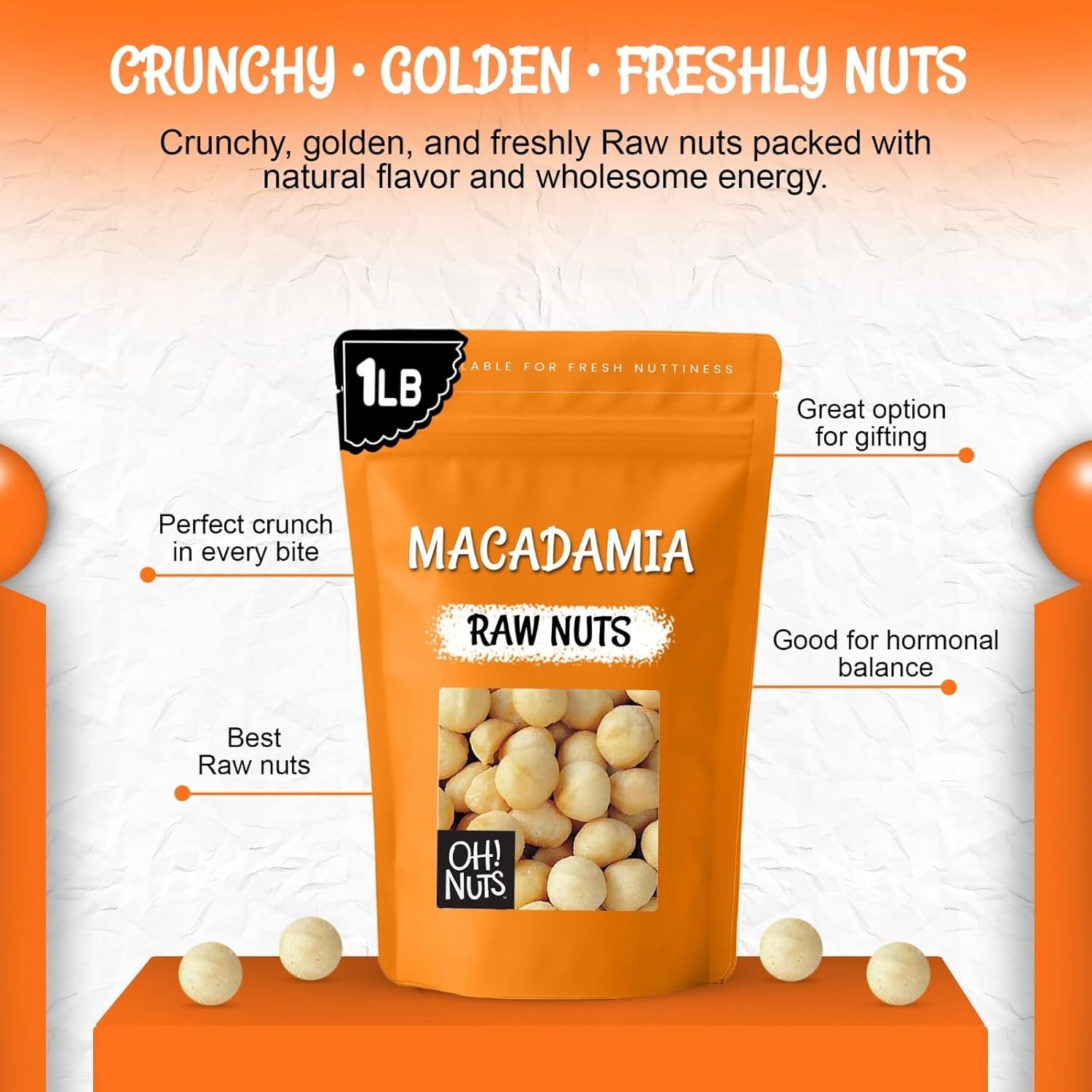 Oh! Nuts Raw Macadamia Nuts - Macadamia Nuts Unsalted - Jumbo Macadamia - 1 lb - 100% Natural Snack