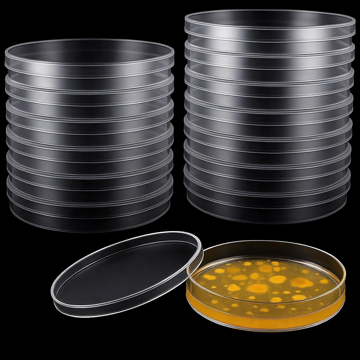 Plastic Petri Dishes with Lids, Single-use Petri Dish，Laboratory Petri Dish, Clear Stackable Culture Dishes for Lab Experiment, Biology, School Science Project, Myclogy. (24, 90 * 15mm)