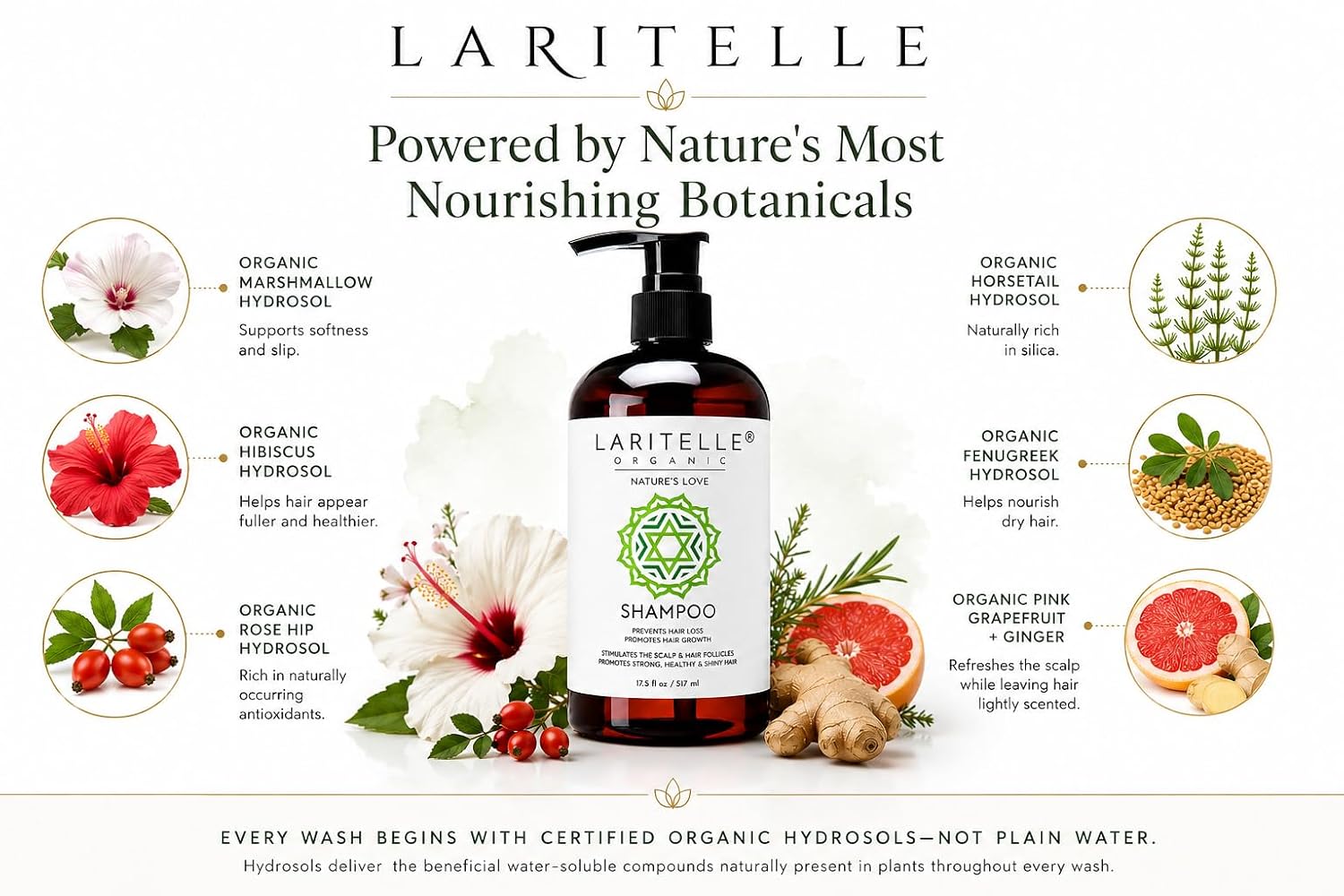 Laritelle Organic Shampoo Nature's Love | Organic Quinoa + Keratin + Follicle Stimulating Rosemary, Ginger & Grapefruit | Hair Growth Support, Clarifying, Softening, Strengthening | NO GMO. Vegan image 3