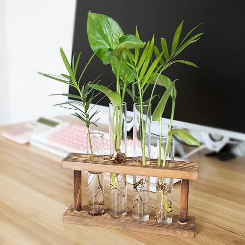 Miniatura 6 de Macetas de propagación de escritorio de vidrio, estación de propagación de plantas con soporte de madera, 4 jarrones de tubo de ensayo, para
