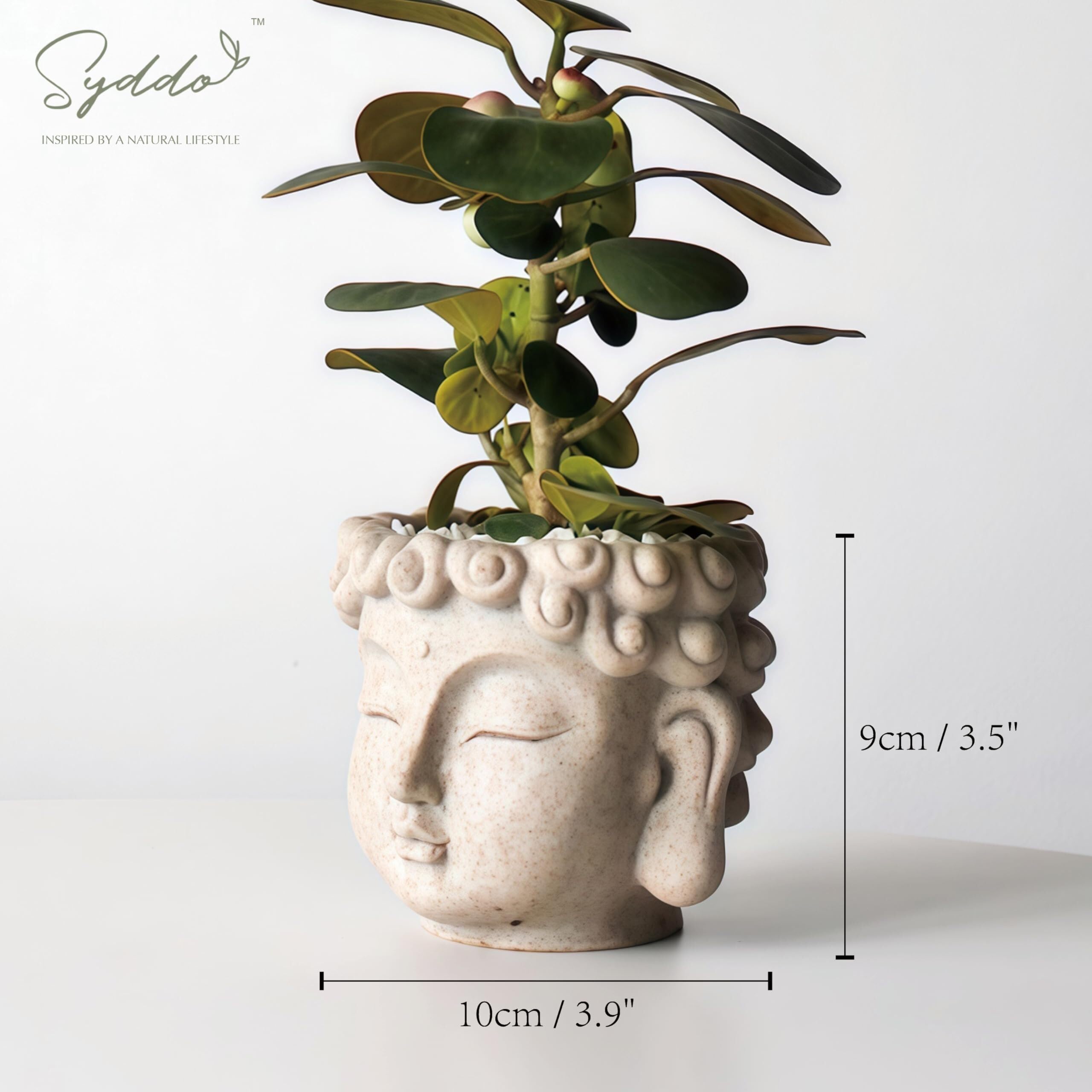 Jardinières décoratives Pot de Fleurs Les indispensables du Jardin