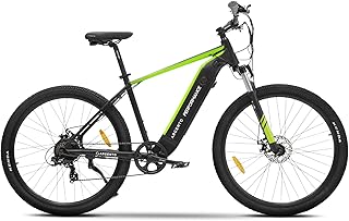 Argento Performance Mountain e-bike, Bici Elettrica, Batteria 468W, Motore 250W, Cambio Shimano 7 rapporti, Freni a Disco, Ruote 29"