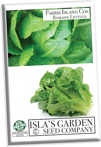 Miniatura 2 de Semillas de lechuga romana "Parris Island" para plantar, más de 1000 semillas de reliquia por paquete, semillas de jardín de Isla (semillas de