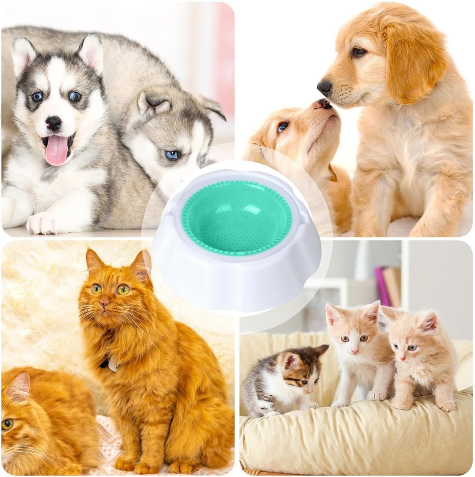 Confezione da 2 ciotole refrigeranti per animali domestici, ciotola estiva (con perle di condensazione), ciotola refrigerante per gatti e cani, stazione refrigerante per animali domestici, ciotola per