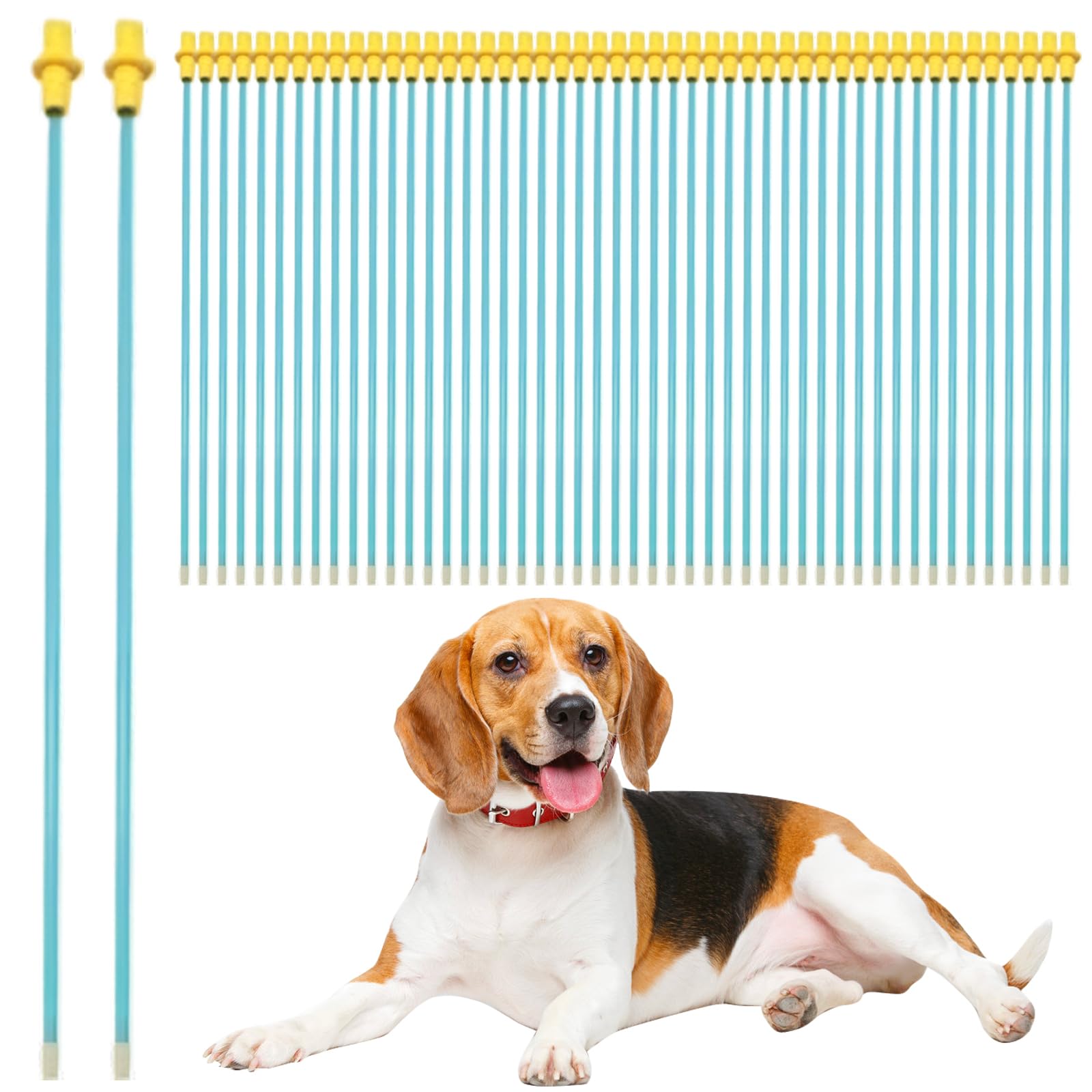 Tube de cathéter pour l'insémination des Chiens 50pcs Kit d'insémination Artificielle jetable pour Chiens Round Head Flexible 12 Supplies de Reproduction pour pour Les Petits et Moyens