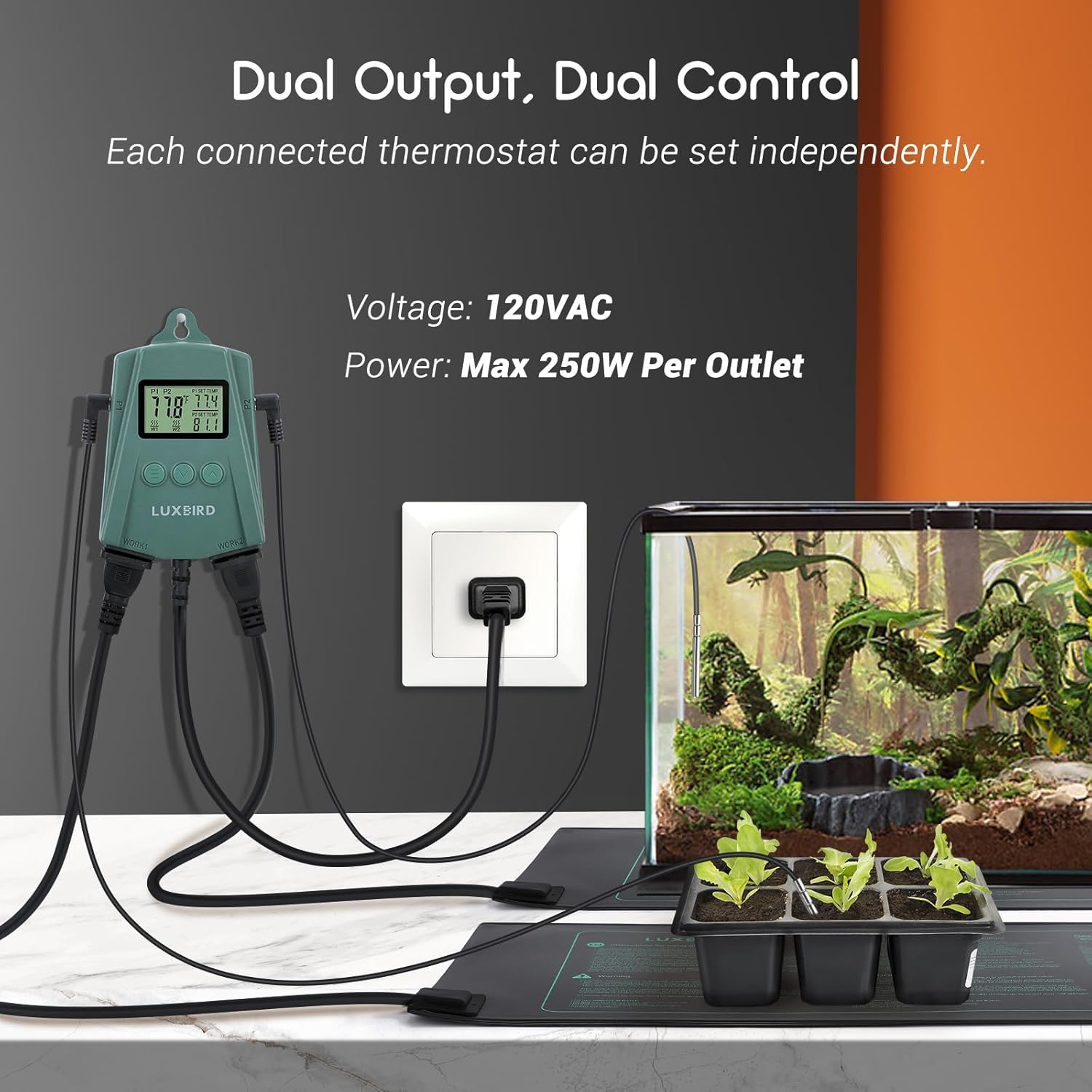 Setup diagram showing the thermostat connected to a wall outlet, a reptile terrarium, and a plant heat mat.