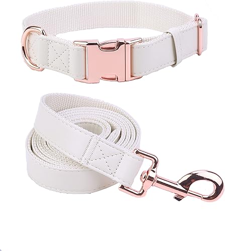 Juego de collar y correa para perro. Cuero vegano suave y fácil de limpiar con hebilla de metal oro rosa para perros pequeños, medianos y grandes
