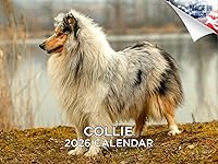 Vista 224 de Razas de Perros 2017