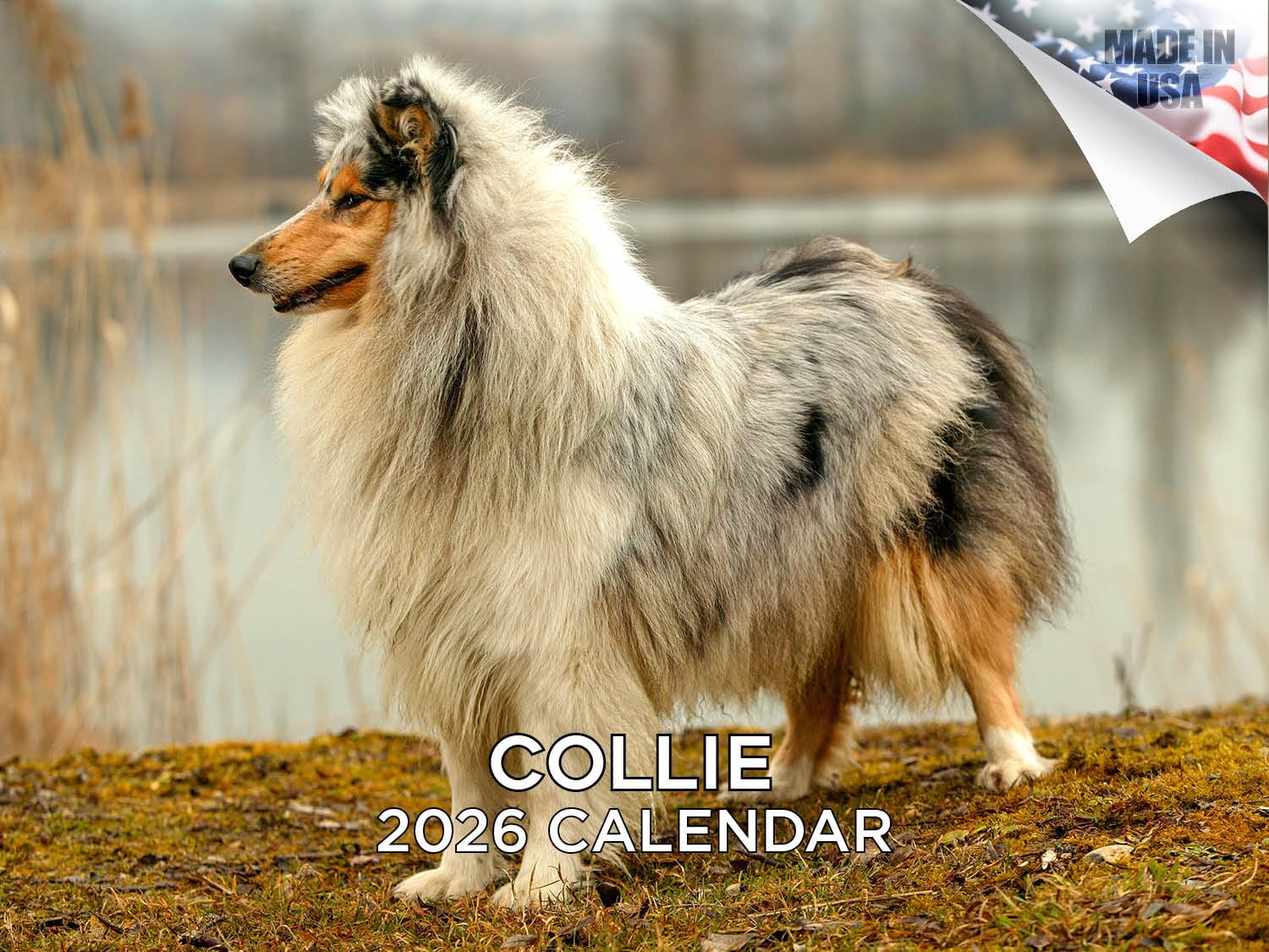 2024 2025 Collie Calendar - Dog Breed Monthly Wall Calendar - 12 x 18 Open - Thick No-Bleed Paper - Giftable - Academic Teacher's Planner Calendar Organizing & Planning - Made in USA