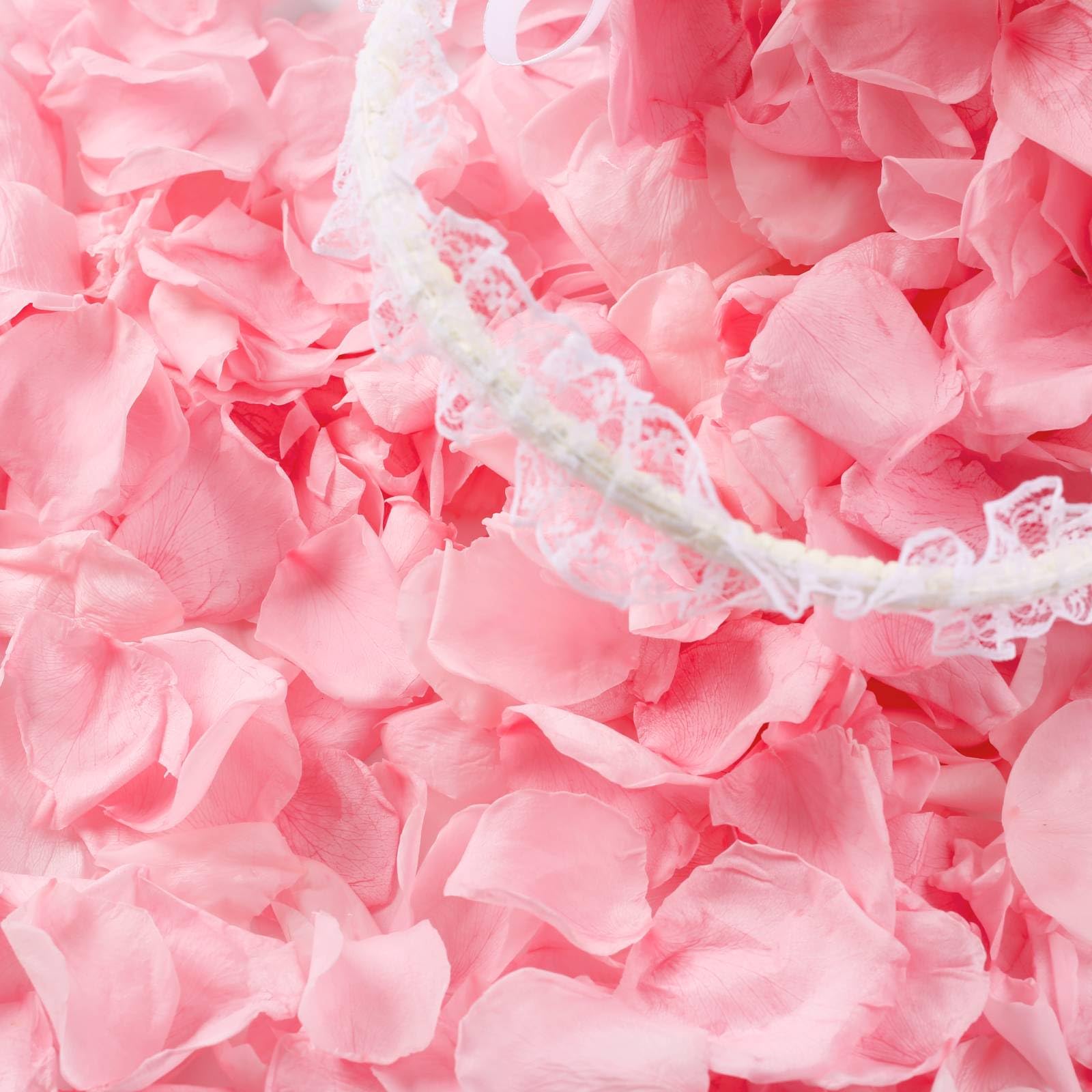 Eslibin 300 PCS Real Pink Dried Rose Petals Confetti - dried and preserved flora | Mubboo