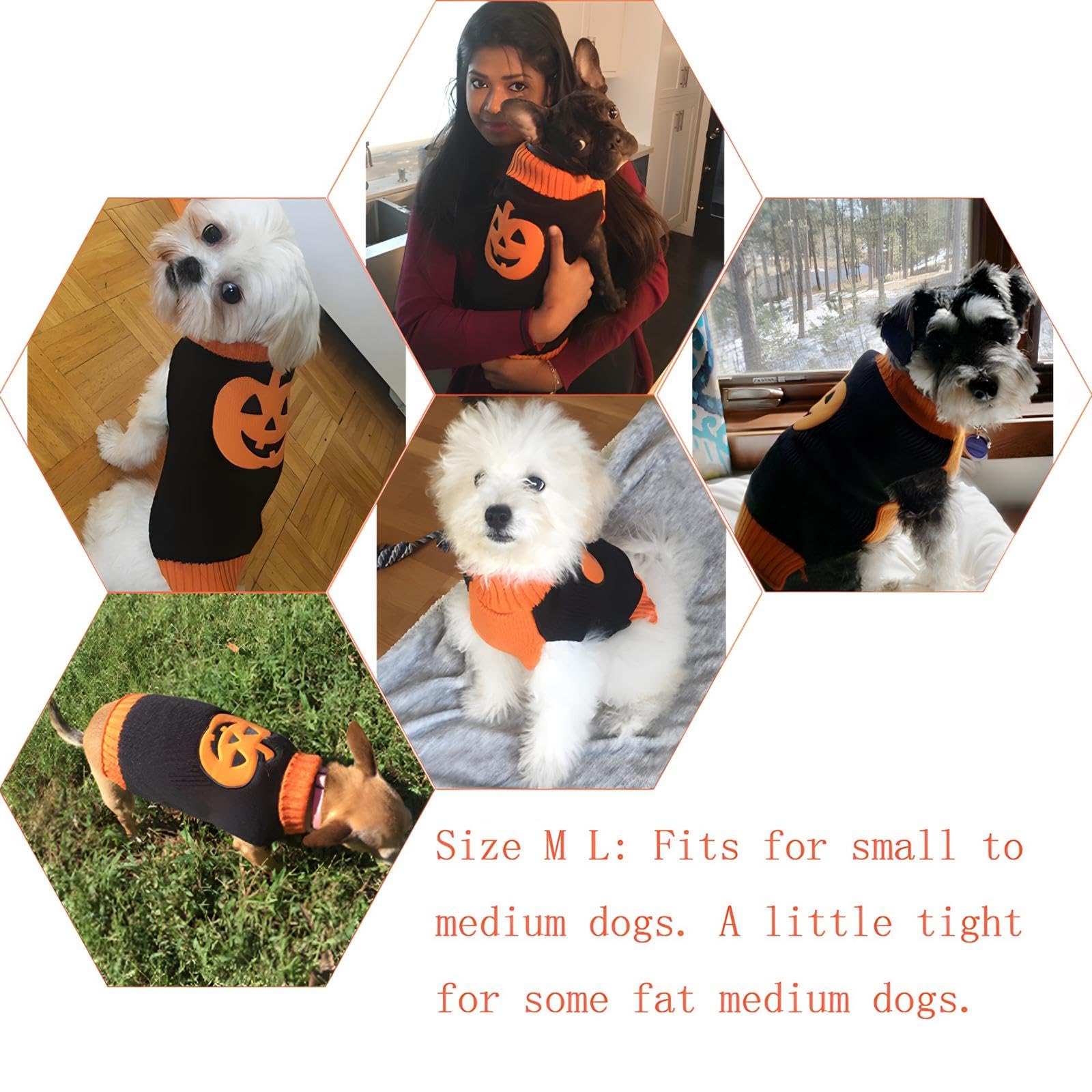 DELIFUR Citrouille Chien Pull Halloween Costume Fête de Vacances pour Chat et Chiot (M, Citrouille)