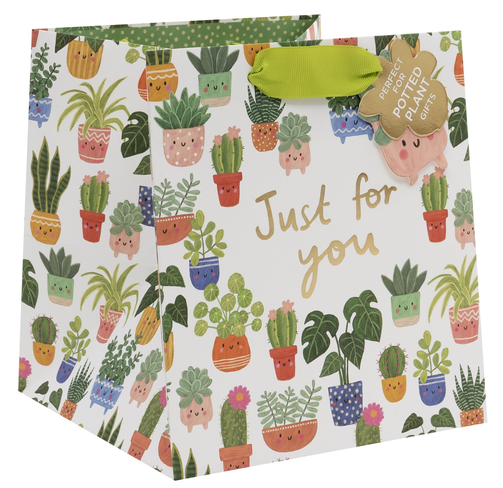 Glick Plant Gift Bag - Planty Pals Design - 200 x 180 x 180mm