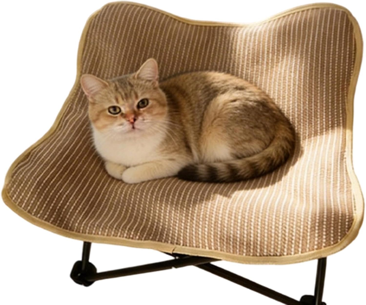 Cat Scratch Bed, Scratch-Resistant Space-Saving, Cat Scratcher Hammock Bed, for Small Medium Large Kitten Indoor Outdoor Garden Yard Playing Exercise
