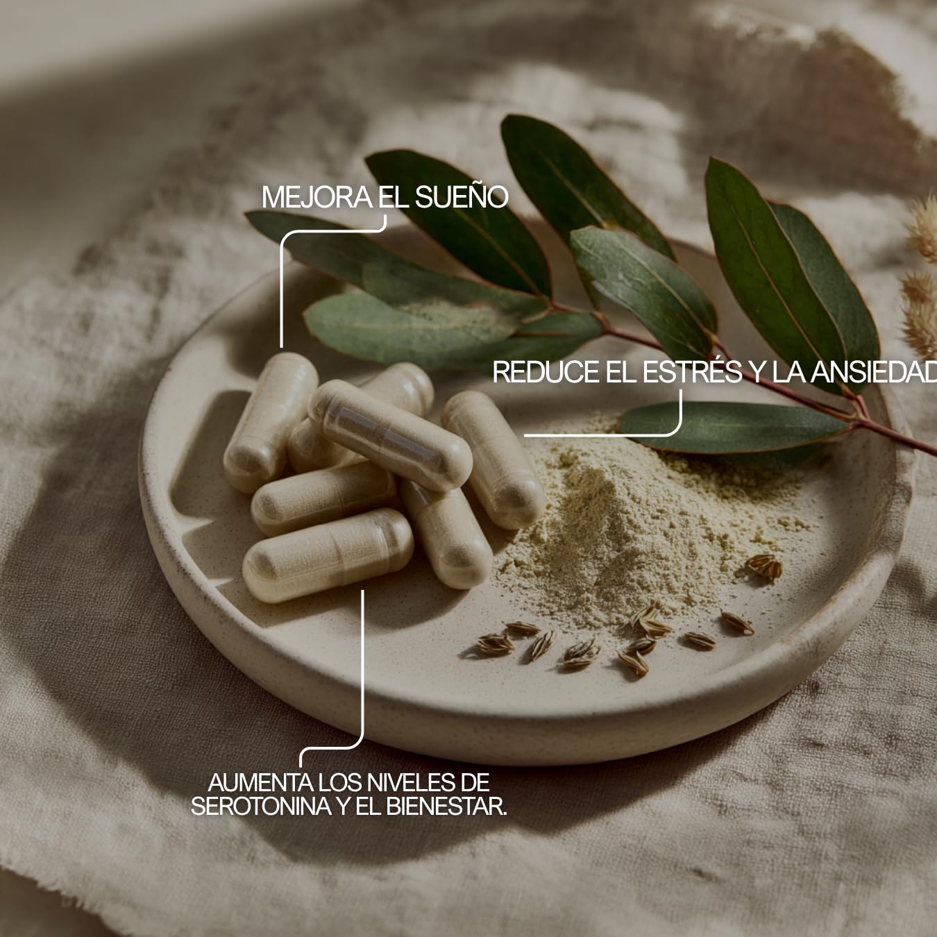 5-HTP (Griffonia Simplicifolia) Alta Concentración – Estado de Ánimo, Sueño y Estrés – Serotonina Natural – Cápsulas – Fabricado en Francia