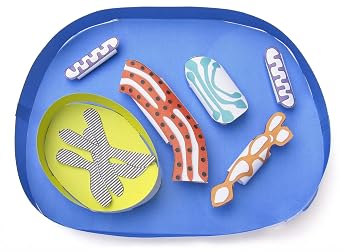 Simple Animal Cell 3-D Paper Model Making Kit - Individual Student Edition 17-7729