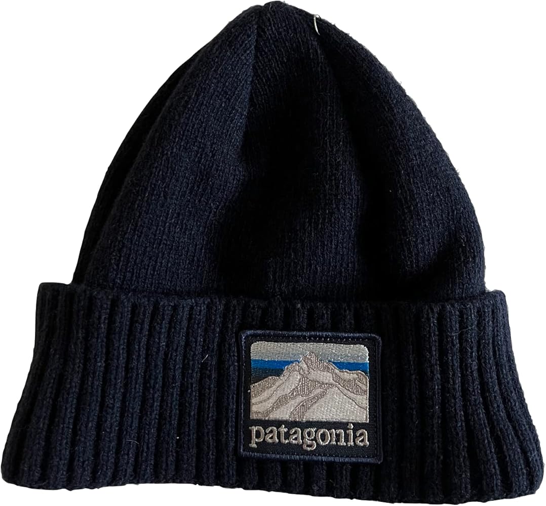 Patagonia lined beanie cheap