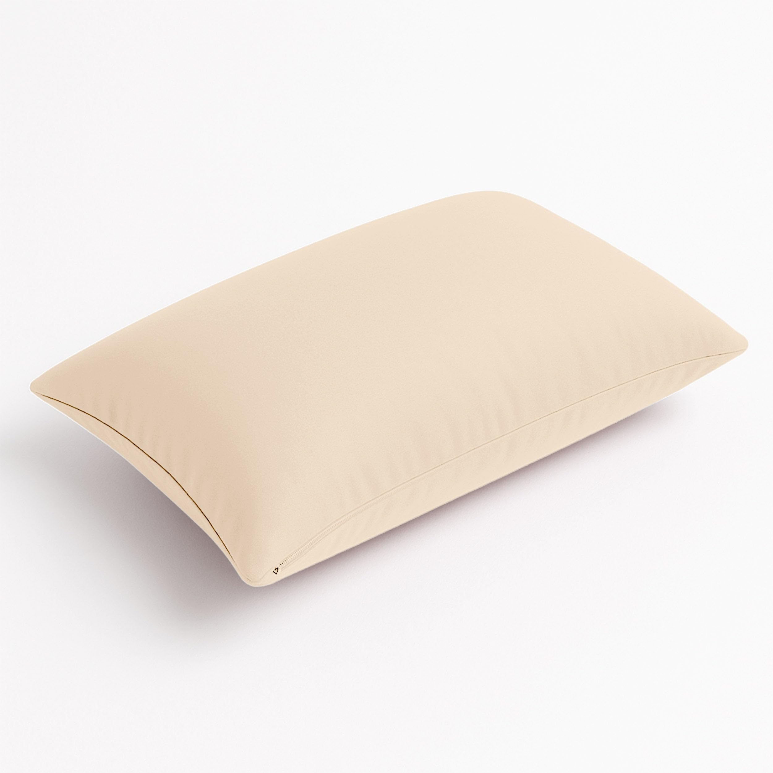 Coussin de décoration extérieur 60x35 cm, Lot de 2 – Déhoussable, déperlant, Anti-UV, pour Fauteuil ou canapé de Jardin – Beige
