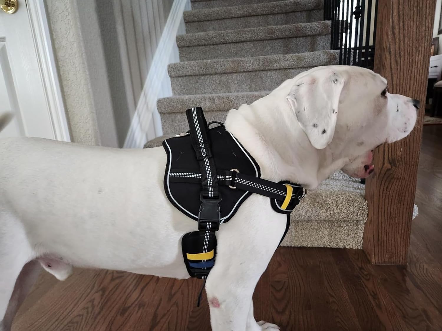 No-Pull Extra-Large Dog Harness - Tatical XL Dog Harness for Large Dog with Handle, Escape Proof Dog Vest Harness, Front Clip Reflective Adjustable Service Dog Harness (Black, Extra Large)