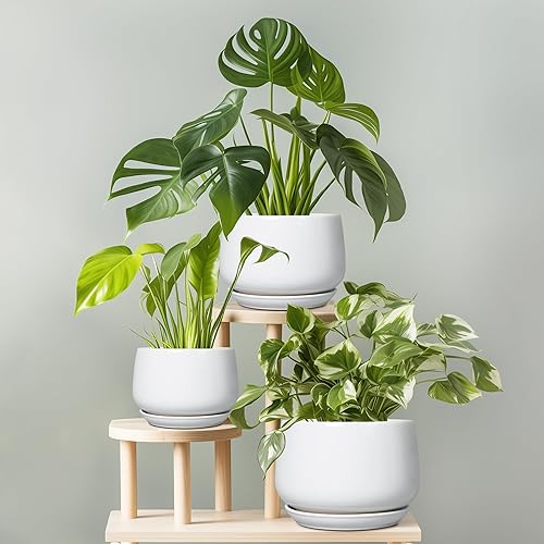 Miniatura 7 de G EPGardening Maceta de cerámica de 9 pulgadas, macetas con drenaje y platillo de cerámica, macetas para plantas de interior, maceta moderna para