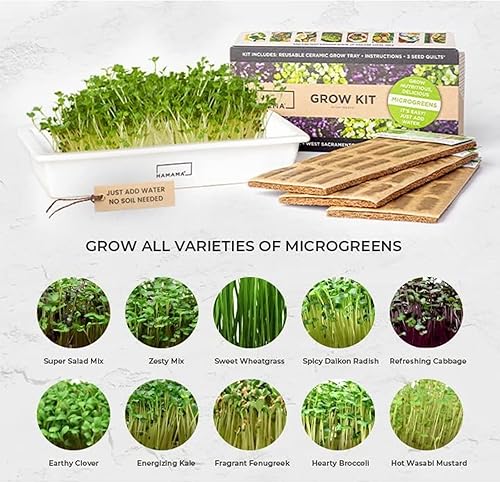 Miniatura 8 de Recambio de verduras Powerhouse orgánicas y sin OMG para Hamama Home Microgreens Kit de cultivo  Cultiva microverduras frescas en interiores cada
