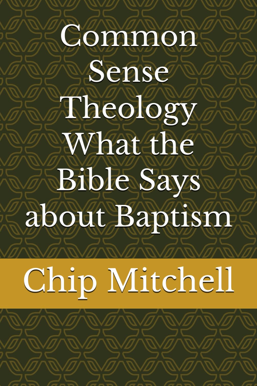 Common Sense Theology What the Bible Says about Baptism