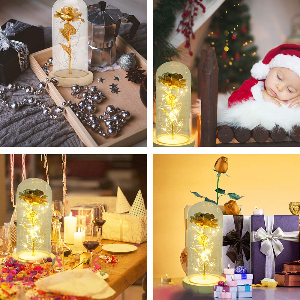 TINYOUTH Golden Rose in vetro di base nera, 2 m/6,6 ft 20 luci LED bianco caldo rosa artificiale in vetro AAA batteria, cupola di vetro per