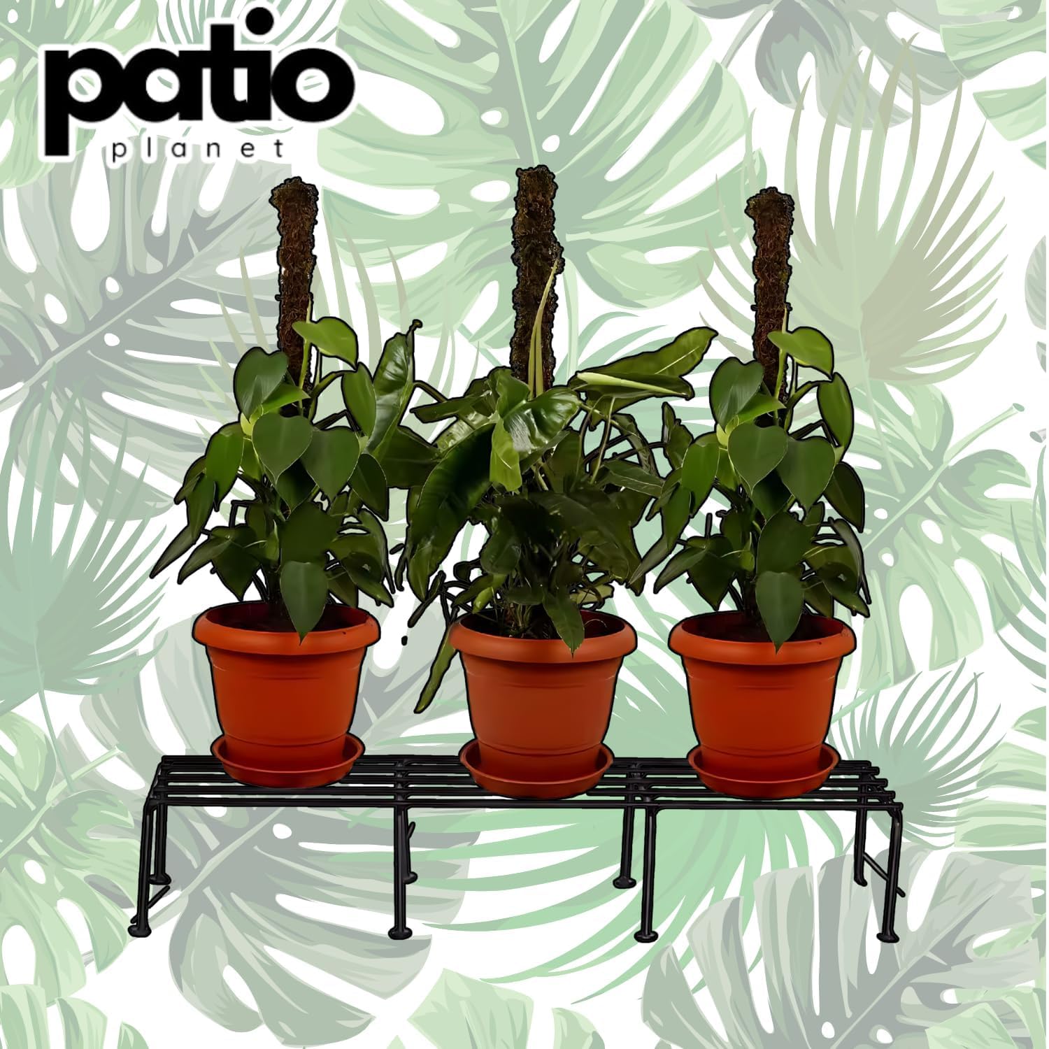 Patio Planet Metal Plant Stand for Balcony (Pack of 4 Black) | for Living Room - 24 inches | Pot Stand for Outdoor & Indoor Plants 1