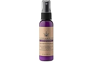 Travel Size Febreze: Say Goodbye to Odor!