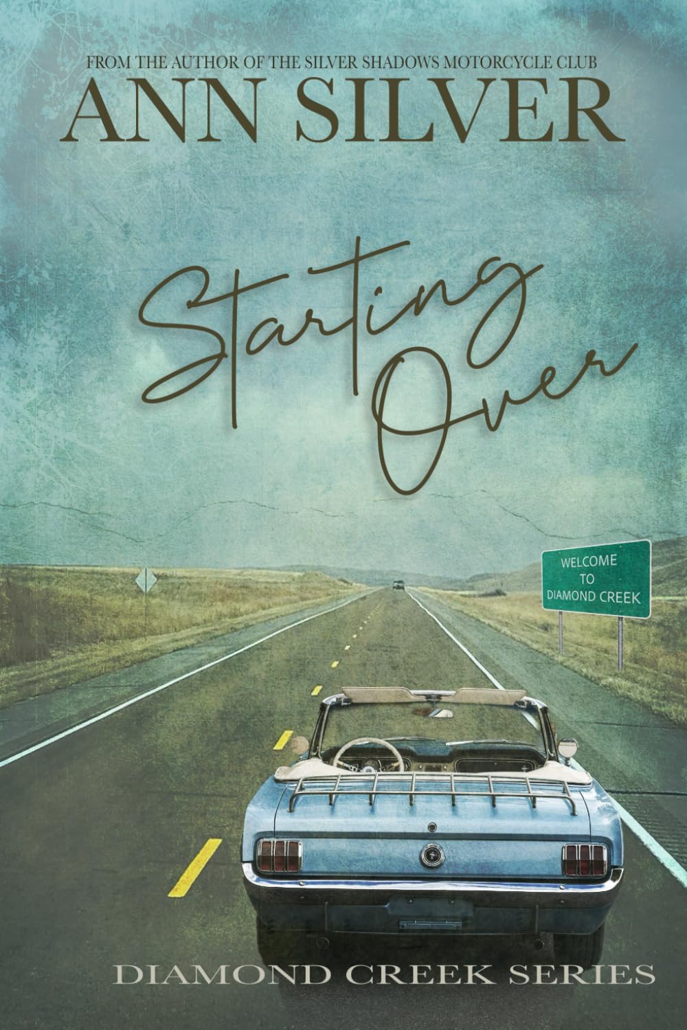 Starting Over: A Diamond Creek Romance (Diamond Creek Series)