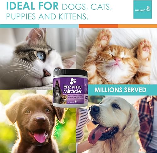 Miniatura 2 de Enzimas para gatos y perros Enzyme Miracle 100 porciones para el estrés digestivo las preocupaciones pancreáticas y el control saludable del peso